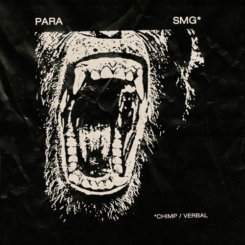 Chimp / Verbal