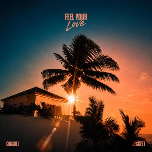 Feel Your Love (Extended Mix)
