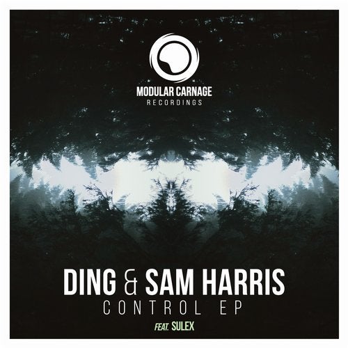 Cover art for Control