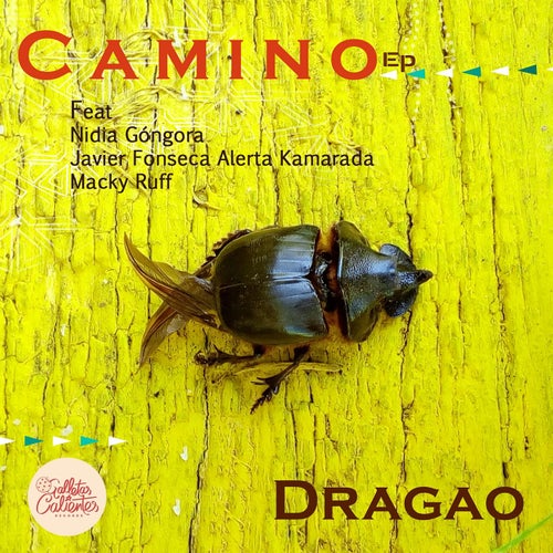 Camino