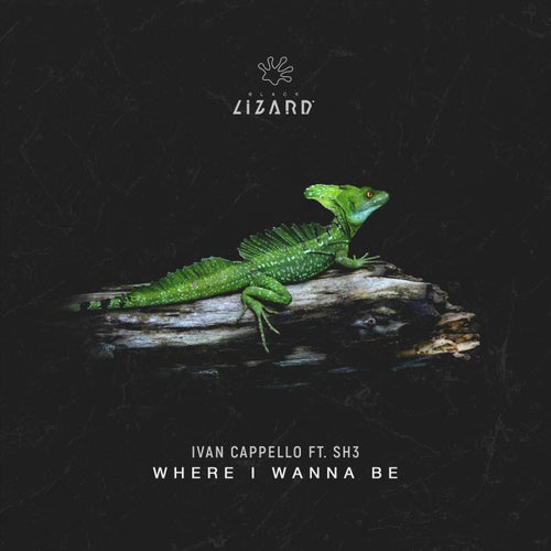 Where I Wanna Be (feat. SH3) - Radio Edit