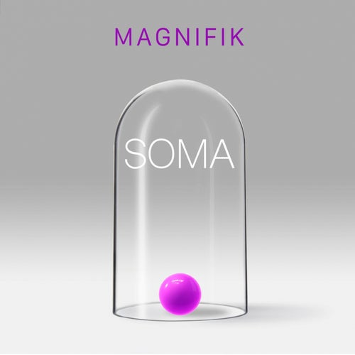 Soma