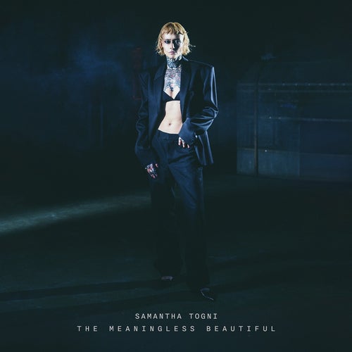 The Meaningless Beautiful
