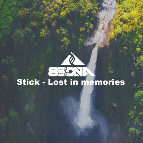 Lost in Memories