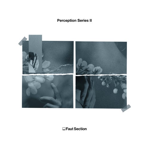 Cover art for Perception Series ||
