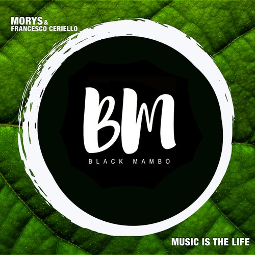 Music Is The Life