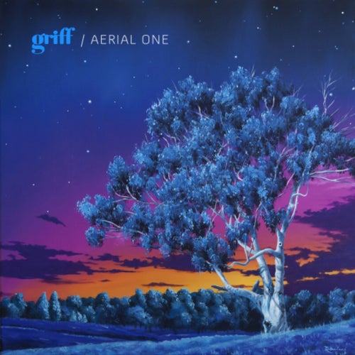 Aerial One