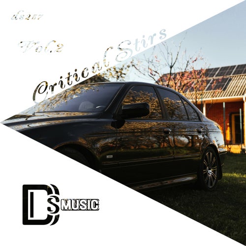 VA - Critical Stirs, Vol. 2 [Different Styles Music]