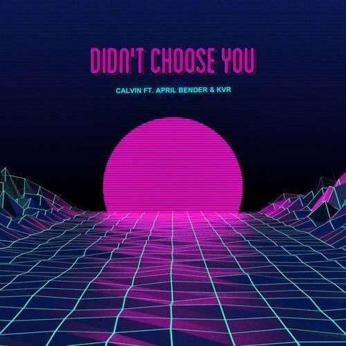 Didn't Choose You