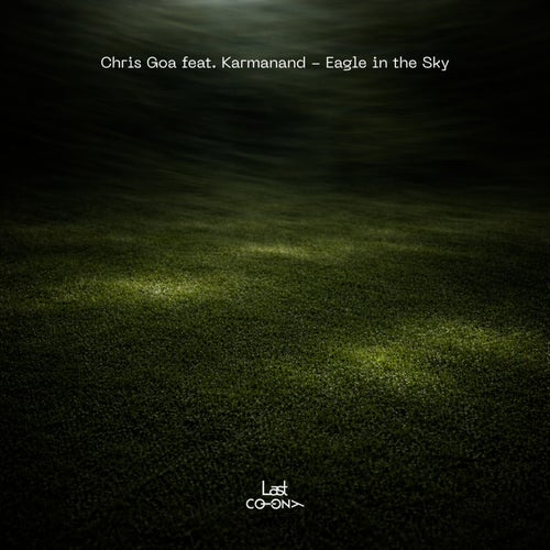 Eagle in the Sky