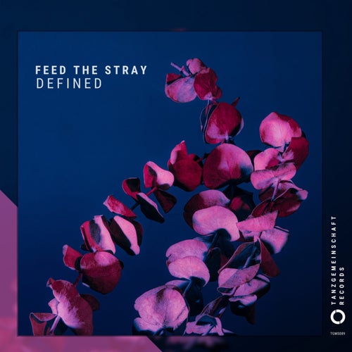 FEED THE STRAY - Defined (2024)