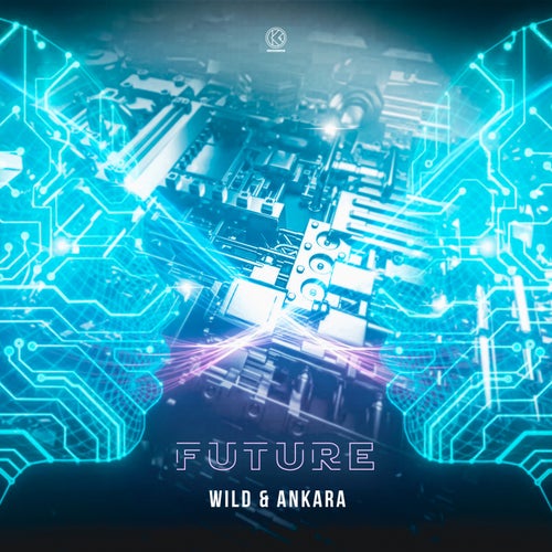 Future (Final Version)