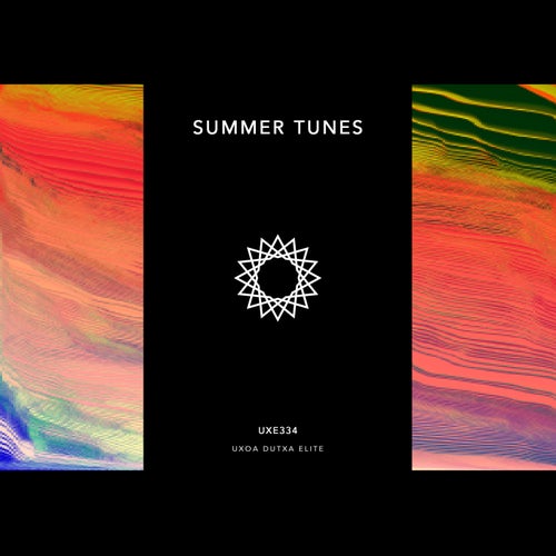 VA - Summer Tunes 2024 UXE334