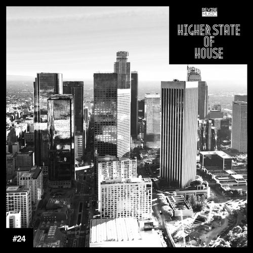 Higher State of House, Vol. 24
