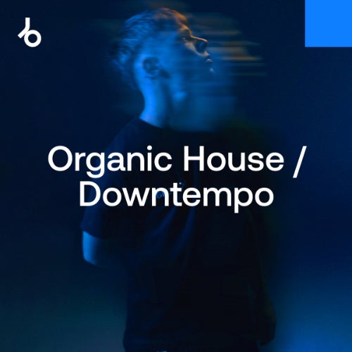 Beatport Warm-Up Essentials 2025 Organic House Lossless Beatport Warm-Up Essentials 2025 Organic House Lossless