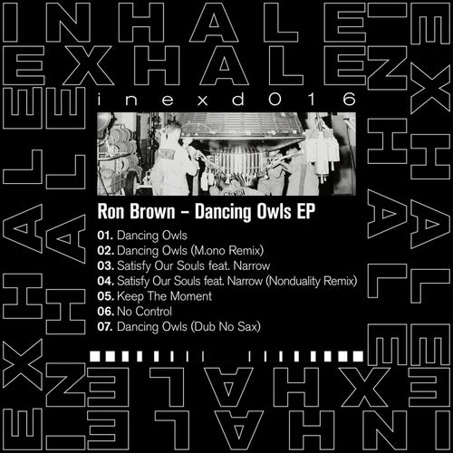 Dancing Owls