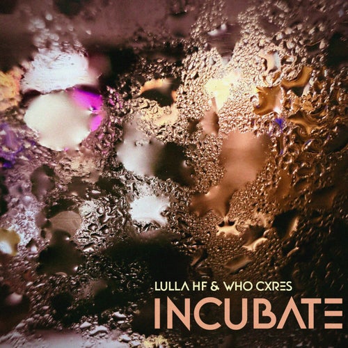 Incubate