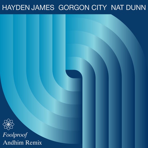 Cover art for Foolproof