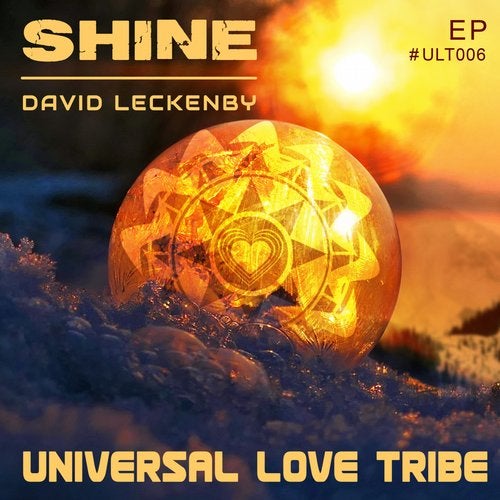 Cover art for Shine