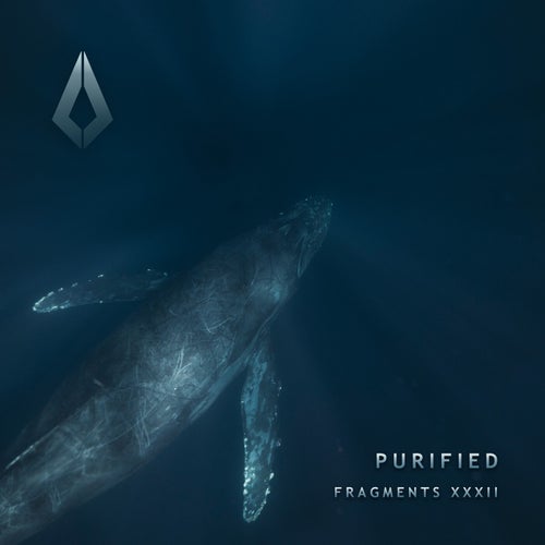 Purified Fragments XXXII PF0220BP FLAC - Purified Records