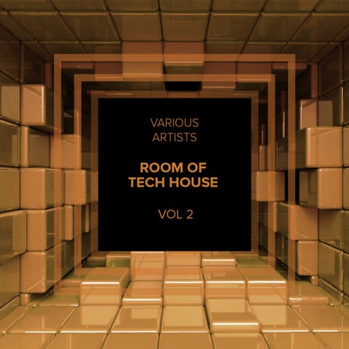 Room Of Tech House, Vol.2