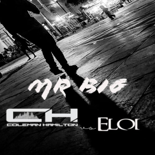 Mr. Big