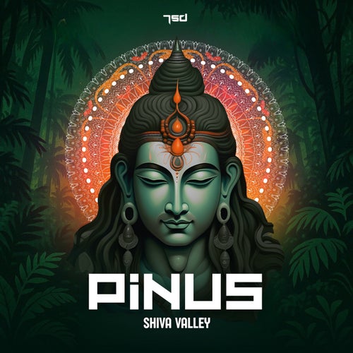  Pinus - Shiva Valley (2025) 