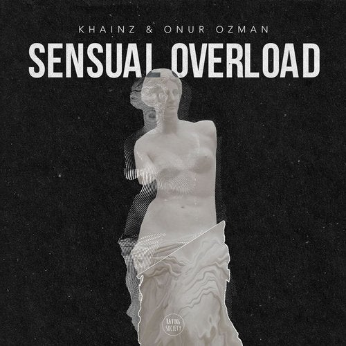 Cover art for Sensual Overload
