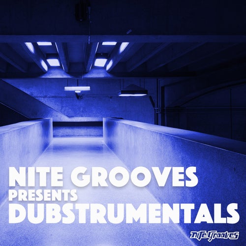 Cover art for Nite Grooves presents Dubstrumentals