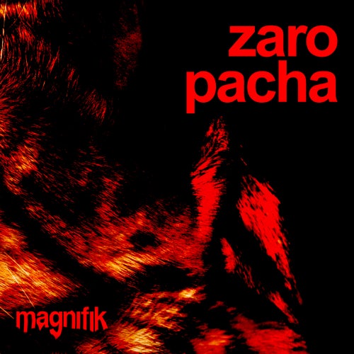 Pacha