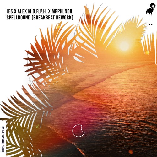Spellbound (Extended Breakbeat Rework)