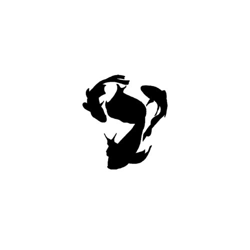 Immersions