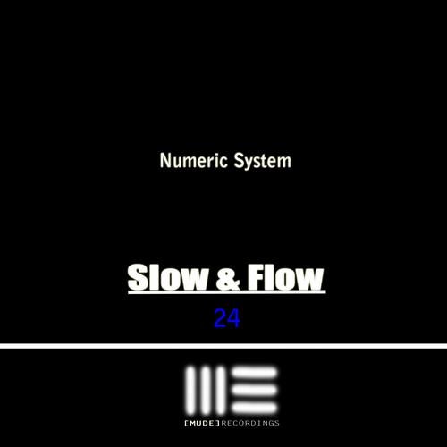 Numeric System