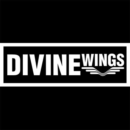Divine Wings