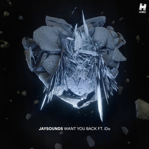 Want You Back (Extended Mix)