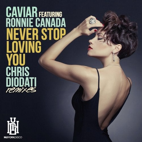 Never Stop Loving You (Chris Diodati Remixes)