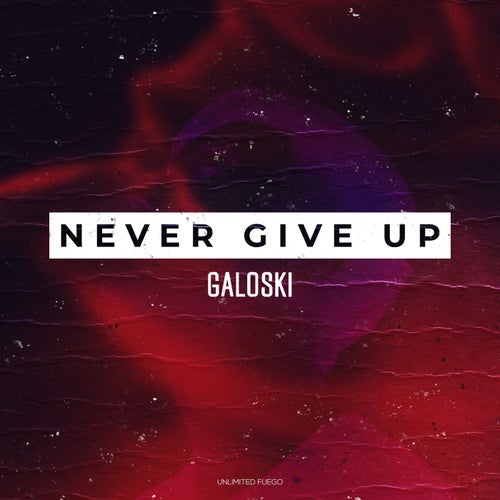 Never Give Up