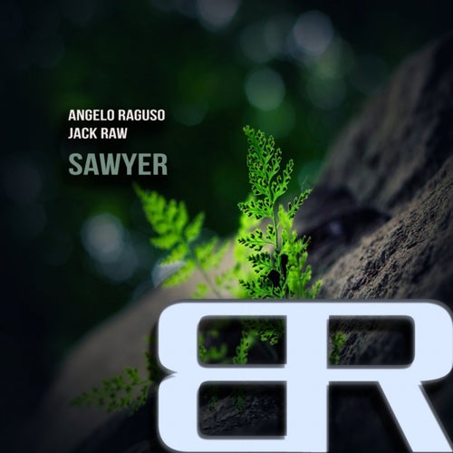 Sawyer