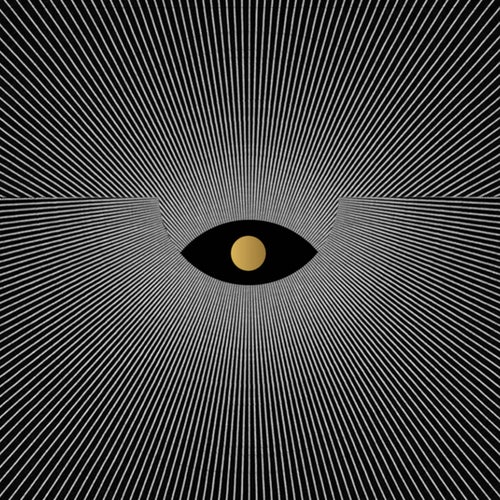 Transition LP