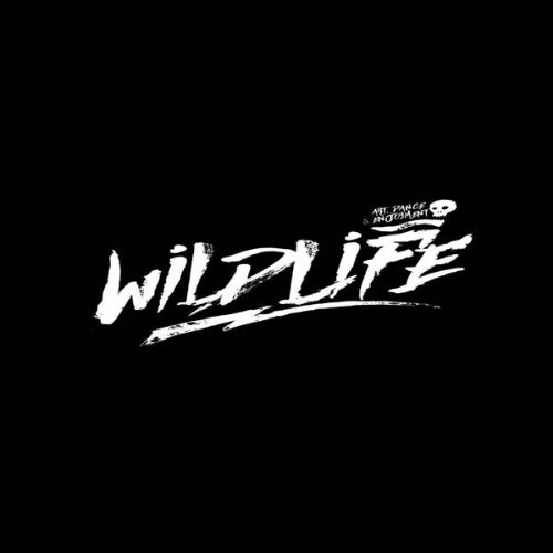 Wildlife Music