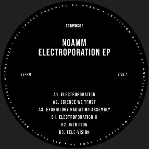 Electroporation EP