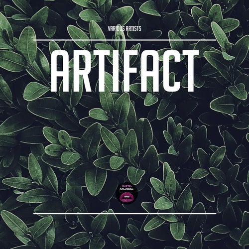 Artifact