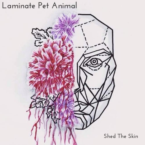Cover art for Shed the Skin