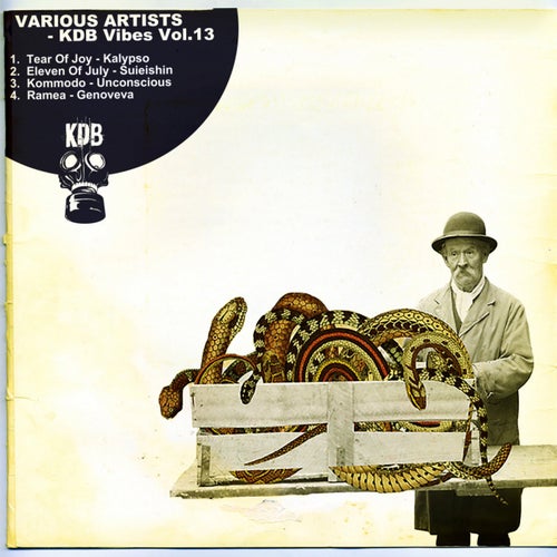 KDB Vibes, Vol. 13