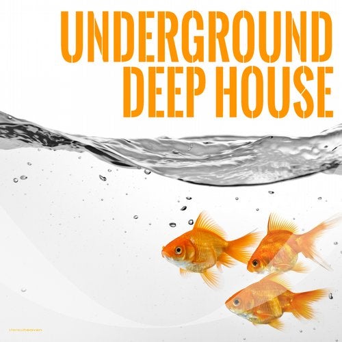 Cover art for Underground Deep House