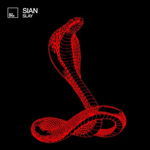 Cover art for Slay