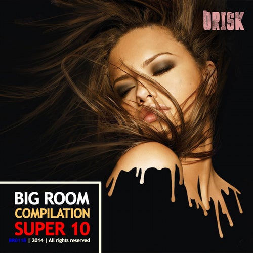 Big Room Compilation - Super 10