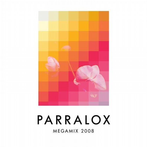 Megamix 2008
