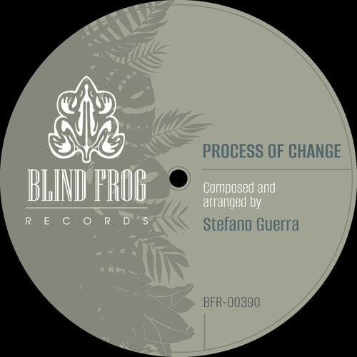 Process of Change (feat Jahy S)