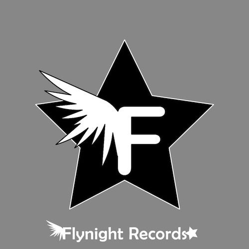 Fly Night Records